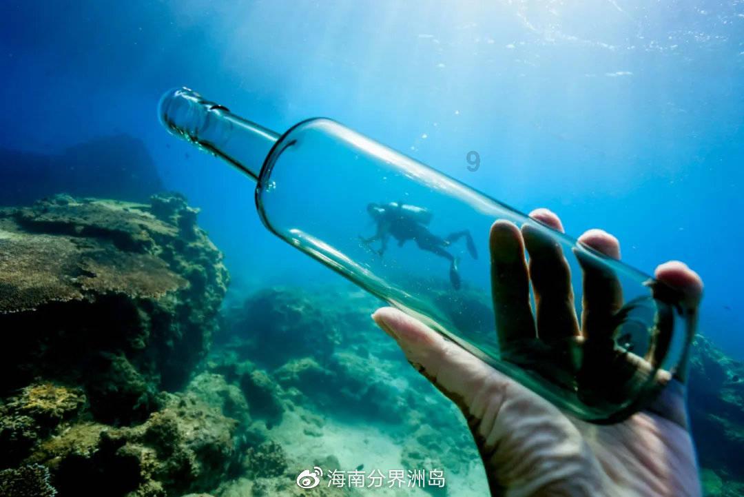 植物大战僵尸7